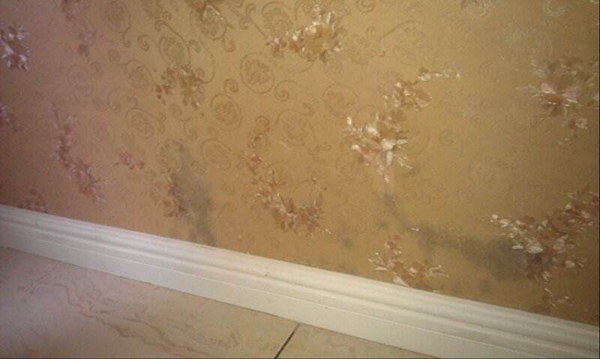 1590997639747074.png 02.png